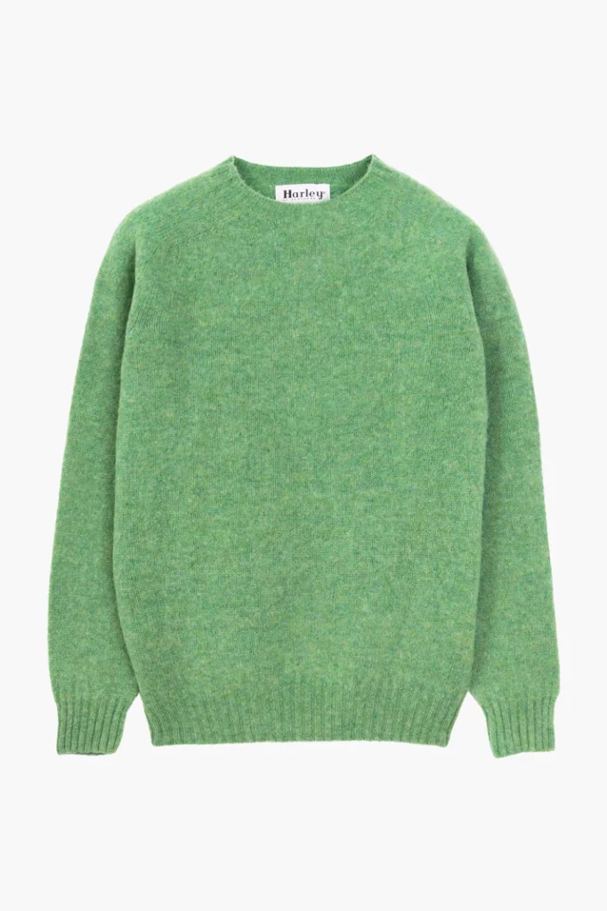 Pull Harley of Scotland Shaggy Dog couleur menthe, vue de face